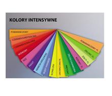 Papier ksero kolor Trophee A4 120g kolory intensywne