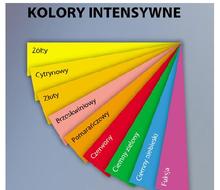 Papier ksero kolor Emerson A4 80g kolory intensywne